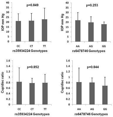 Lack of Association Between Polymorphisms in TXNRD2 and LMX1B and Primary Open-Angle Glaucoma in a Saudi Cohort